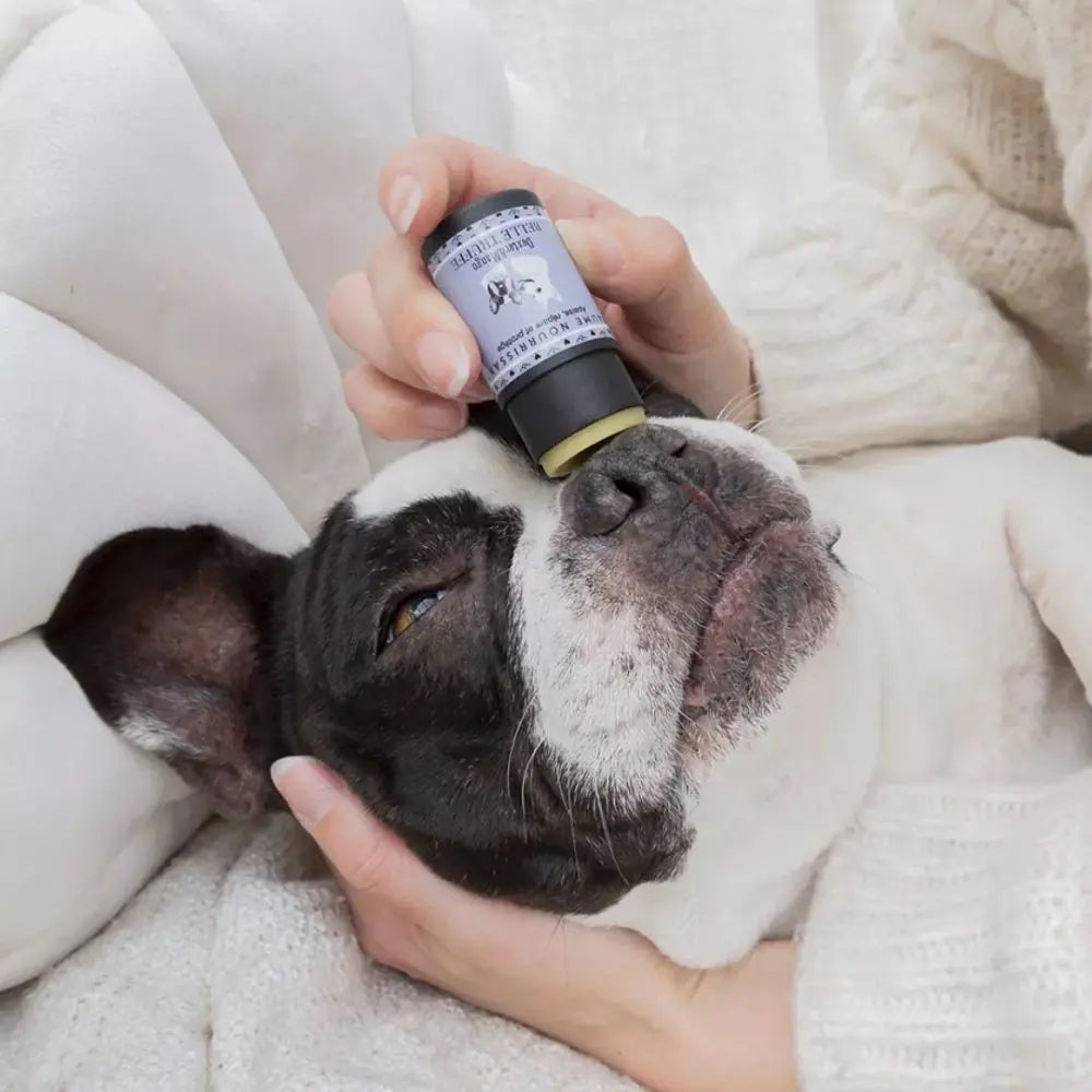 Belle Truffel Hundebalsam - Dexter & Mango Dexter & Mango
